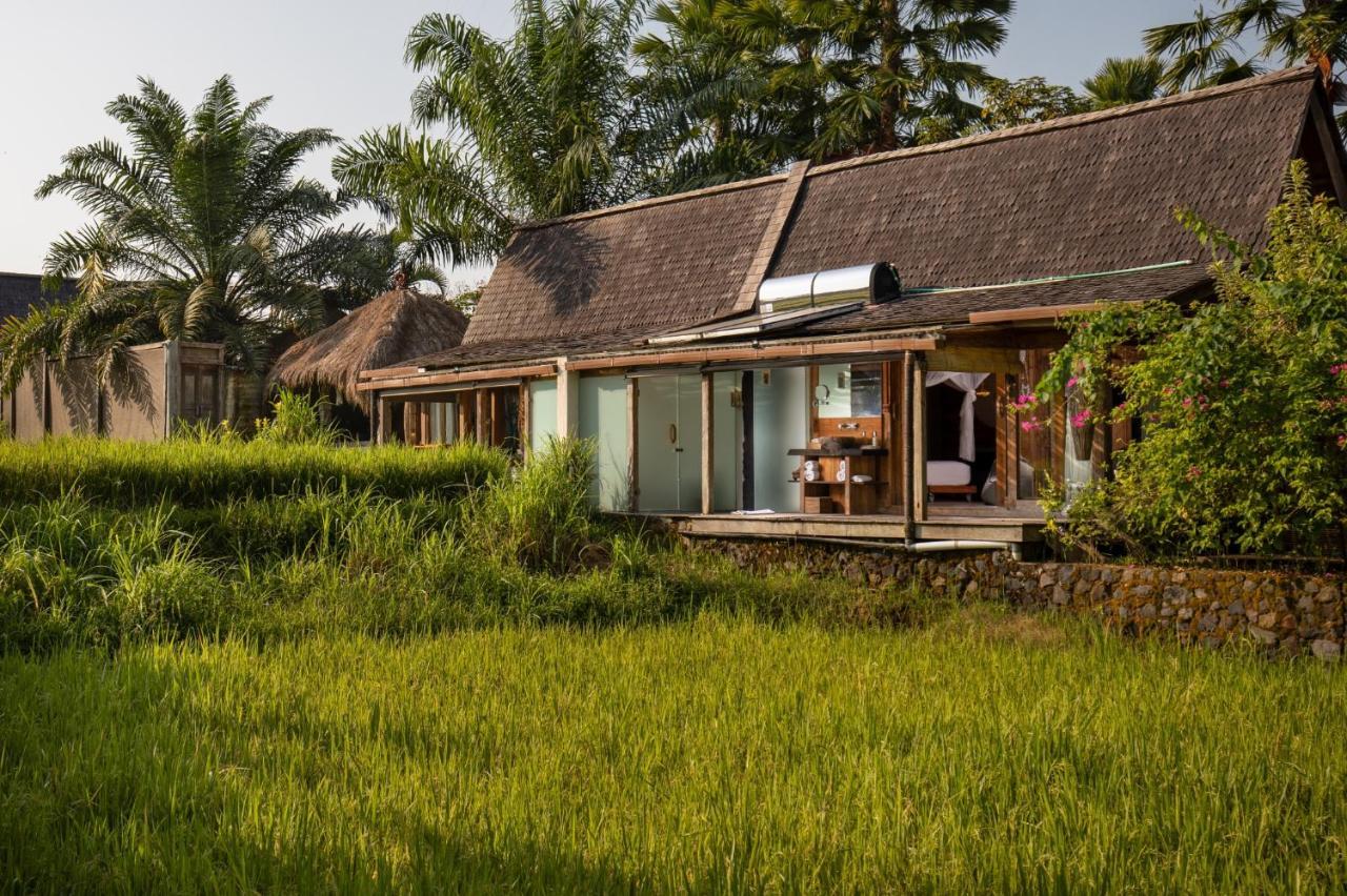 One Bedroom Suite with Rice paddy View & Free Benefit