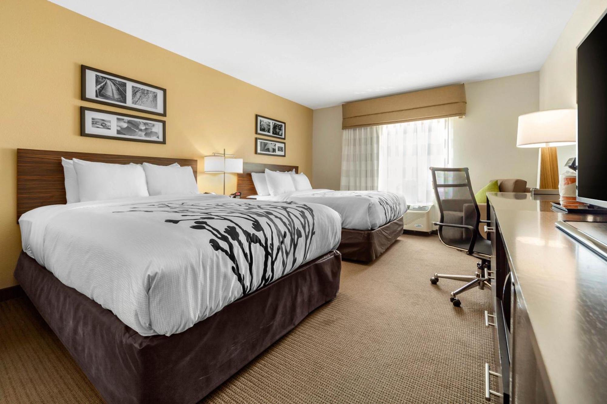 Queen Room with Two Queen Beds - Non-Smoking