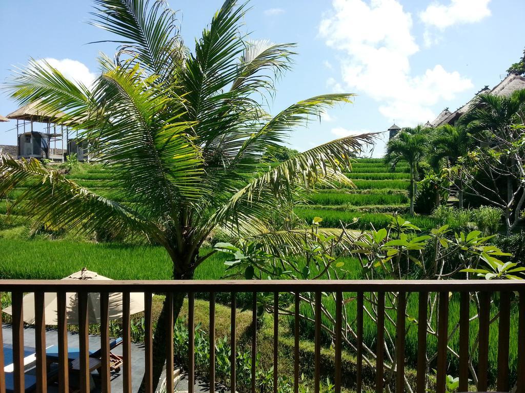 Retreat Package - Deluxe Double Room with Pool View