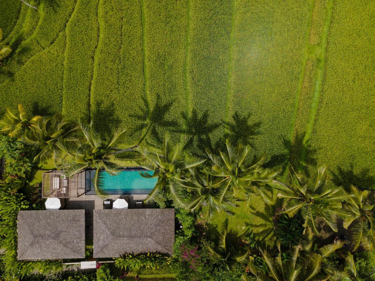 Two-Bedroom Villa with Private Pool and Daily Scheduled Activities