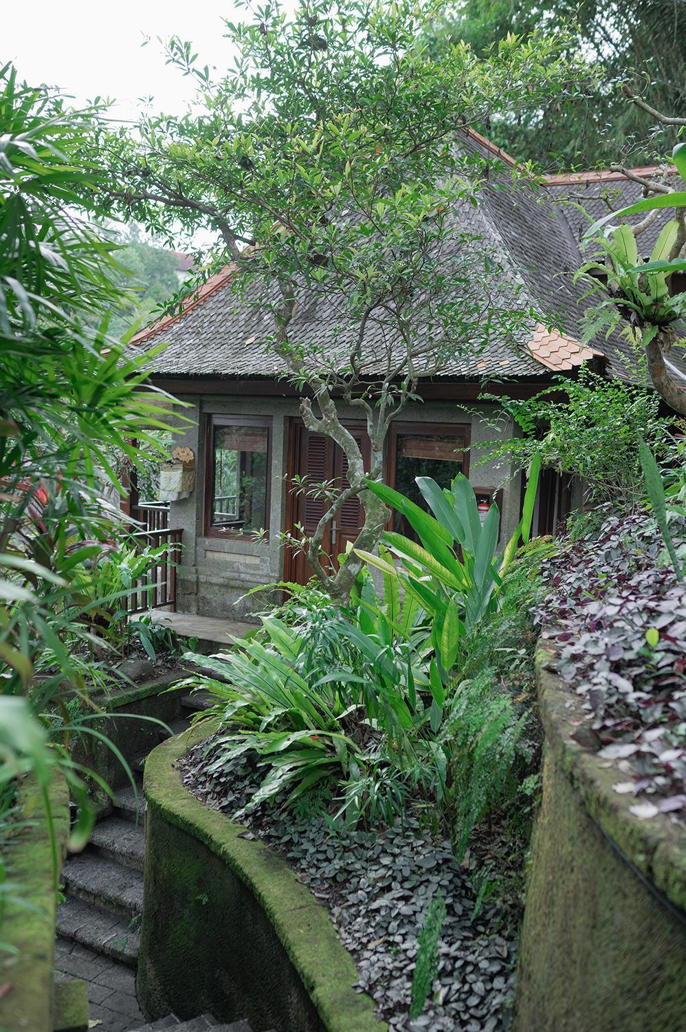 Treetops Lodge with Afternoon Tea