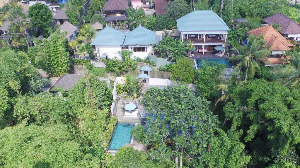 Family Suite with Jungle View
