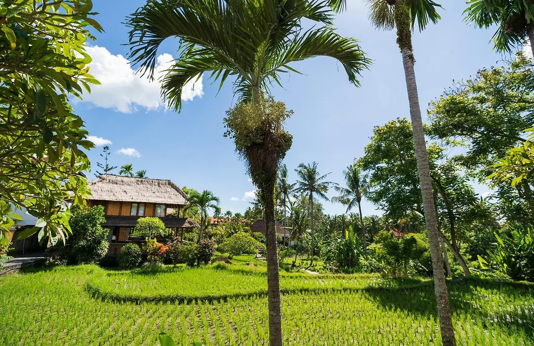 Alpin Resort And Villa Ubud-1