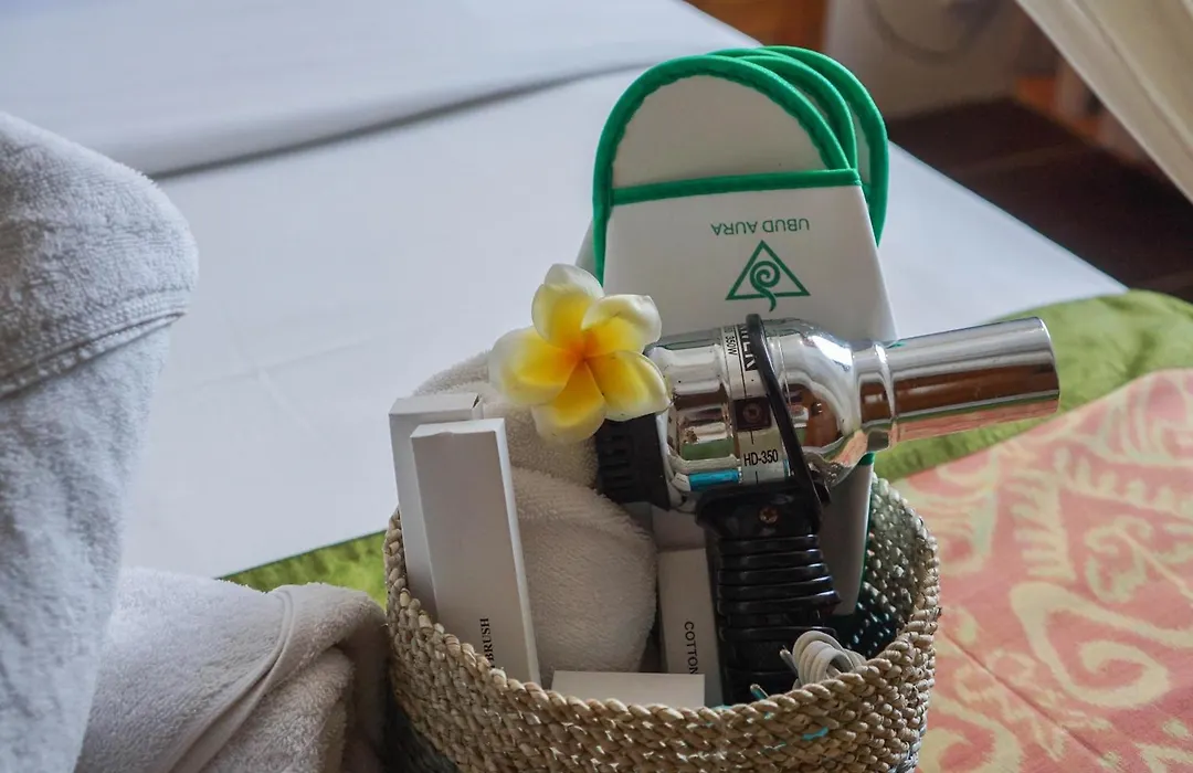 Ubud Aura Wellness Sanctuary-1