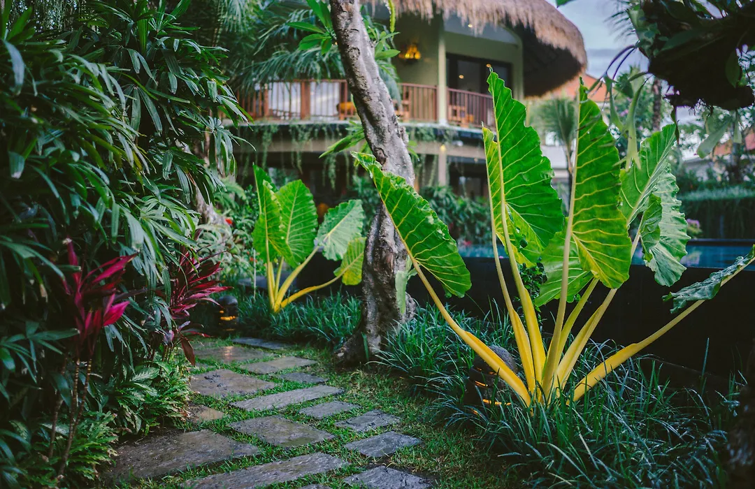 Honai Resort-1