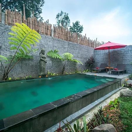 The Forest Villa Ubud-3