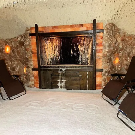 Embassy Suites San Antonio Brooks City Base Hotel & Spa-3
