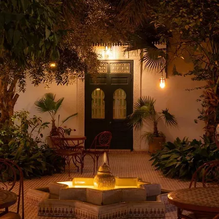 Riad Ifoulki-3