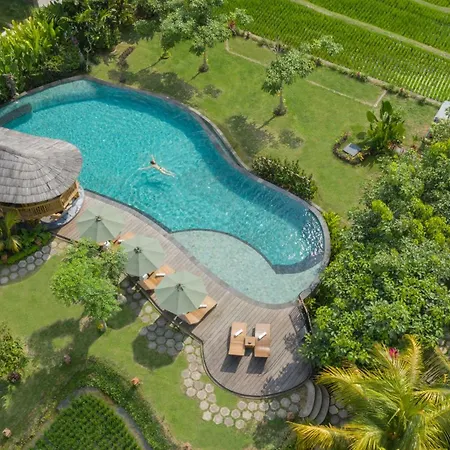 Thewakanda Resort A Pramana Experience-3