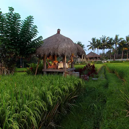 Mathis Retreat Ubud-2