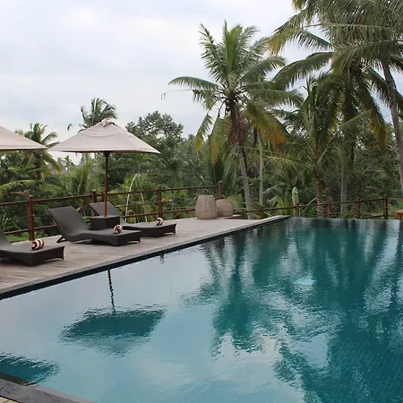 Manyi Village Ubud-3