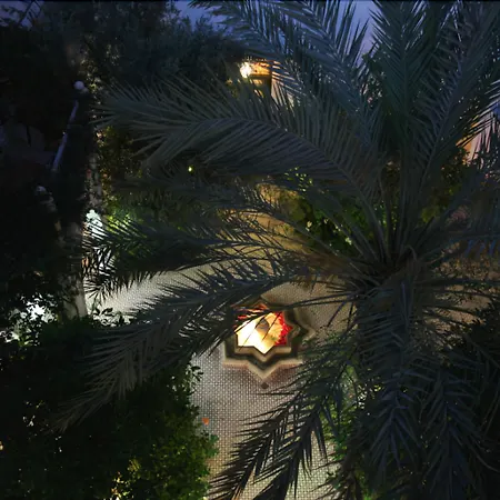 Riad Ifoulki-2
