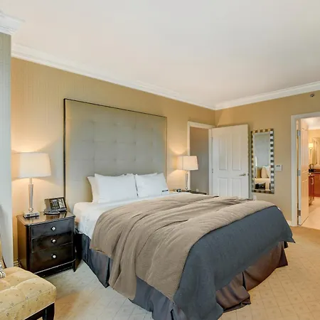 Stripviewsuites At Signature-2