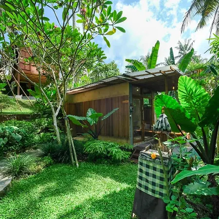 Ubud Jungle Stay - Mahari By Wahm-3