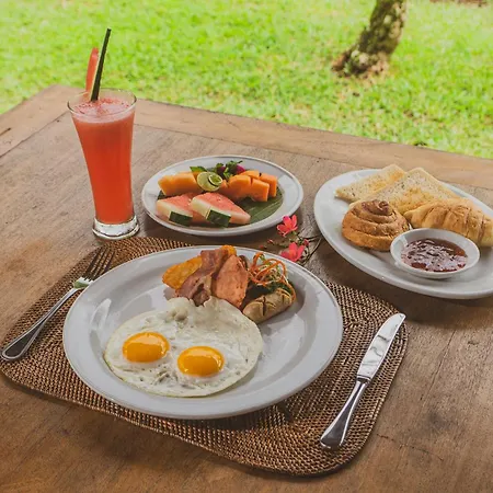 Alpin Resort And Villa Ubud-2