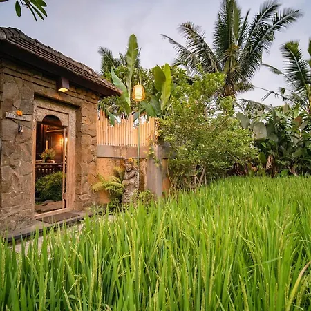 Villa Nini-3