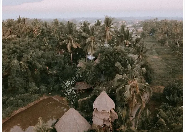 Firefly Eco Lodge Ubud 